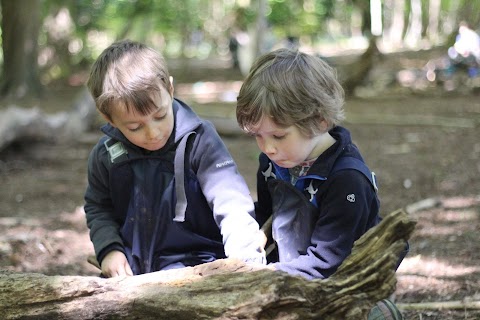 Woodland Outdoor Kindergartens