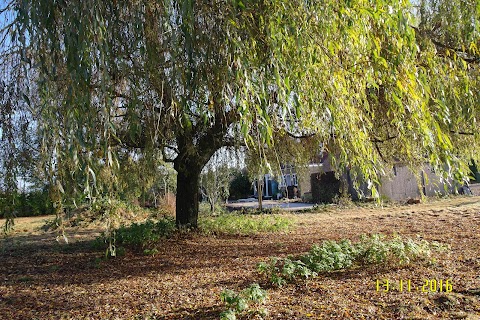 Rabbit Patch Day Nursery