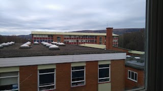 Croesyceiliog School