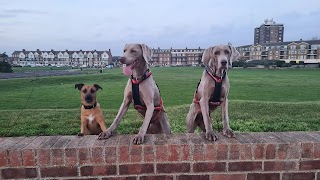 Ferring Street Vets, East Preston