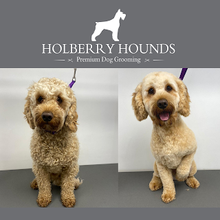 Holberry Hounds