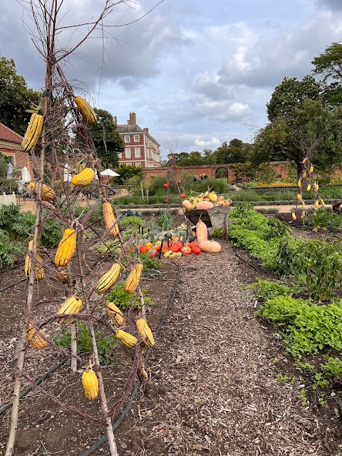 Herne Hill School