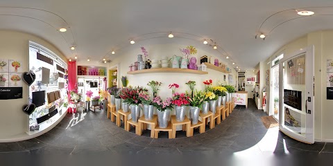 The Bloom Room Florist Wadebridge