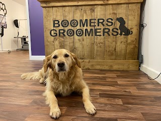 Boomers Groomers - Dog Grooming and Spa