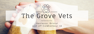 The Grove Vets