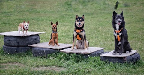 Bluerose Dog Park