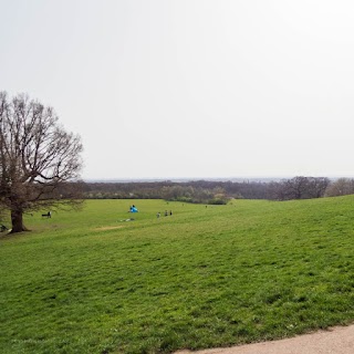 Oxleas Meadows