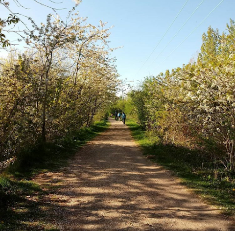 The Forest Centre & Millennium Country Park