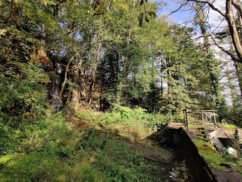 Craig Gwladys Country Park