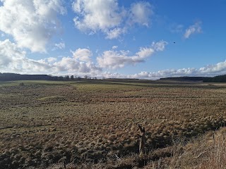 Locherwood Community Woodland