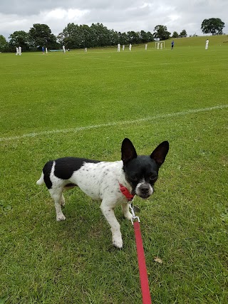 Argoed Sports & Social Club