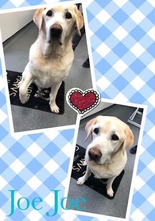 The Mudroom Groomers