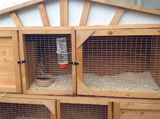 NKALKA Bunny & Guinea Pig Hotel