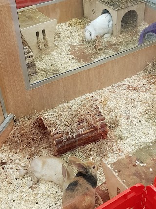 Pets at Home Great Yarmouth