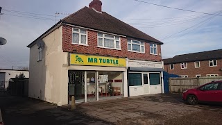 Mr Turtle
