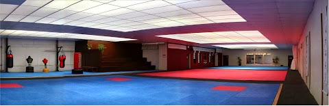 Martial Arts Centres of Excellence Stourbridge