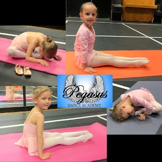 The Pegasus Dance Academy