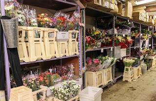 Peaches & Herbs Florist