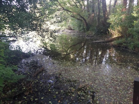 Hill Hook Nature Reserve