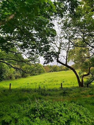 Belmont Demesne