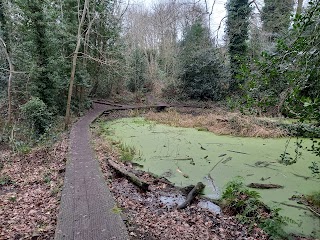 Moseley Bog