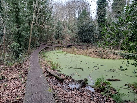 Moseley Bog