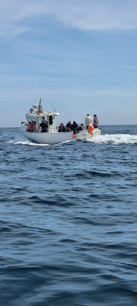 Looe Fishing Trips