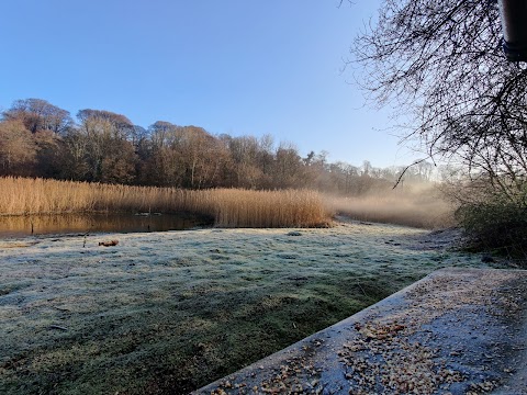 Forest Farm Country Park