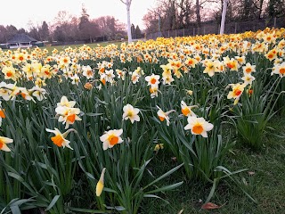 Chertsey Recreation Ground