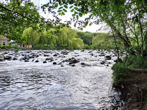 Hirst Wood