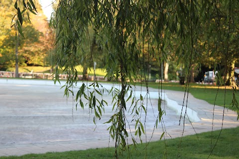 Tettenhall Pool