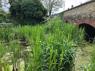 North End Wildlife Pond