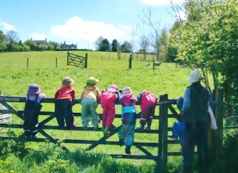 Laurel Farm Kindergarten