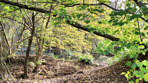 The Wilderness Grove Forest School