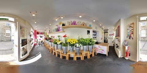 The Bloom Room Florist Wadebridge