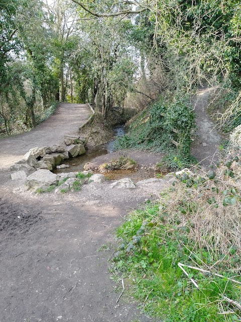 Park Lime Pits Local Nature Reserve