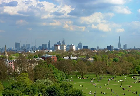 Primrose Hill Therapist