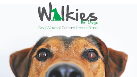 Walkies for Dogs | Dog Walker | Pet Sitter | House Sitter