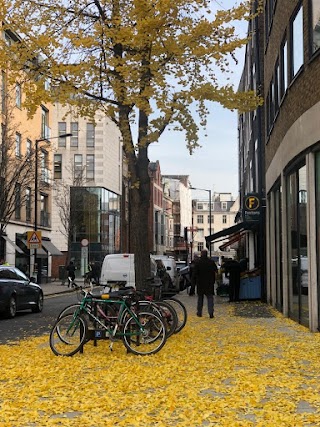 The St Marylebone C.E School Sixth Form Site