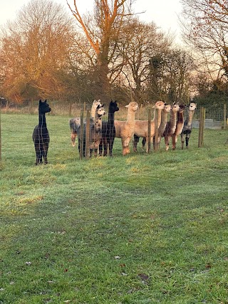 East Anglia Alpaca Mill