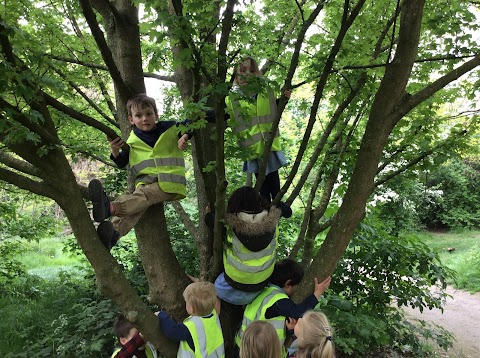 The Butterfly Preschool Clapham