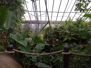 Tropical Butterfly House Wildlife Conservation park