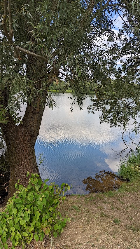 Freeth Mere SSSI nature reserve