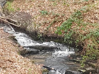 Westheads Clough