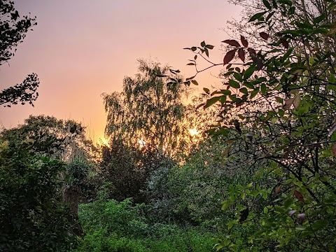 Duck Pond Lane - Park & Garden