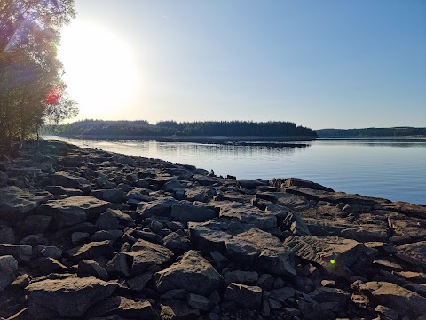 Kielder Water & Forest Park