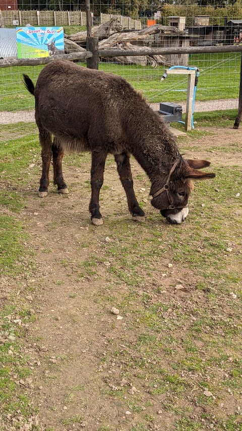 Aldingbourne Country Centre