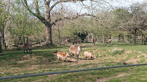 Hangleton Park Children's Centre