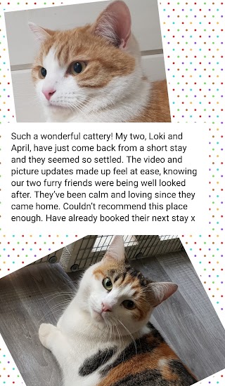 Comberton Cattery