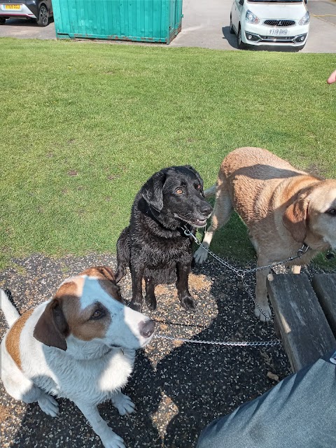 Elsecar Park Cafe